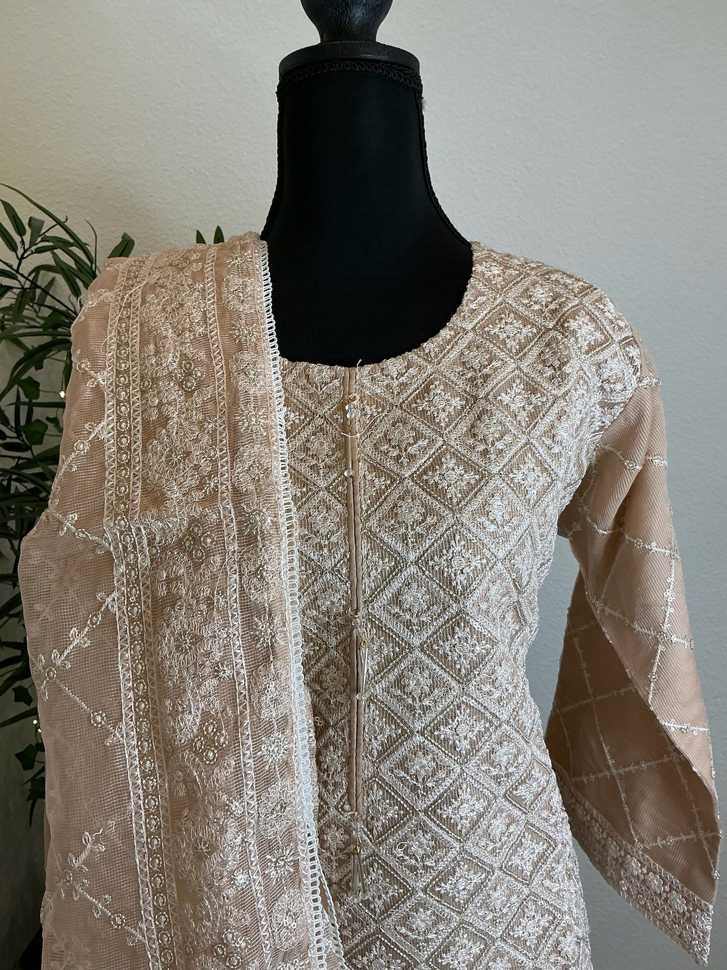 Elegant Beige Heavy Embroidered 3-Piece Suit Set